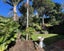 3 Punga Street, Mount Eden, Auckland - Carousel 15