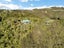 629B OWHIWA RD, OWHIWA, WHANGAREI - Carousel 23