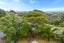 1 Pokapu Street, Titirangi, Auckland - Carousel 8