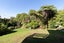 1B Hoskins Avenue, Hillsborough, Auckland - Carousel 19