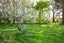 0 Norsewood Ormondville Rd, Norsewood - Carousel 7