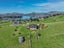 18 Kens Lane, Sawyers Bay, Port Chalmers - Carousel 42