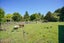 18 Mahuri Road, Otatara - Carousel 26