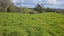 19 Doel Road, Kawakawa, Kawakawa - Carousel 15