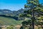 420/0 Sea View Road, Onetangi, waiheke island - Carousel 12