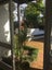 20/533 Manukau Road, Epsom, Auckland - Carousel 8