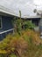20A Penzance Road, Mairangi Bay, Auckland - Carousel 8