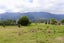 0 Bayfield Street, Seddonville, Westport - Carousel 4