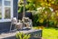 89 Standen Street, Karori, Wellington - Carousel 19