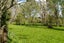 53B Exelby Road, Burbush, Hamilton - Carousel 25