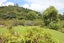4 Riverview Road, Cooks Beach, Whitianga - Carousel 21