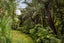 360A Busby Road, Tahawai, Katikati - Carousel 31