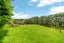 266 Murphys Road, Judgeford - Carousel 38