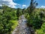 424A Hot Springs Road, Tahawai, Katikati - Carousel 3