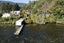 1481 State Highway 30, Rotoiti Forest, Rotorua - Carousel 21