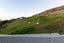 5 Chamerion Way, Atawhai, Nelson - Carousel 2