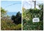 113 Grafton Road, Thames - Carousel 14