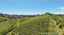 5 Brown Road, Onetangi, Waiheke Island - Carousel 7