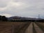 504 Lauder-Matakanui Road, DRYBREAD, OMAKAU - Carousel 23
