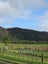 95 Lane Road, Nuhaka - Carousel 14