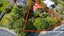 56 Atkinson Road, Titirangi, Auckland - Carousel 15