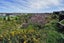 15 Batten Drive, Flagstaff, Hamilton - Carousel 20