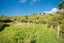 156 Beach Road, Charleston, Cape Foulwind - Carousel 20