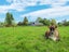 111A State Highway 30, Tikitere, Rotorua - Carousel 23