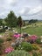 244 Lindemann Road, Tahawai, Katikati - Carousel 35