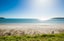 4//23 The Strand, Onetangi, Waiheke Island - Carousel 16