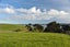 100 Wairoa Gorge Road, Wairoa Valley - Carousel 8