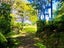 288 Bellville Drive, Coromandel, Coromandel - Carousel 20