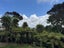 7 Pluto Place, Beach Haven, Auckland - Carousel 10