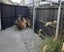 101 Burke Street, Sydenham, Christchurch - Carousel 14