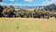 270 Chain Hills Road, Chain Hills, Dunedin - Carousel 40