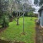 18 Rossmay Terrace, Mount Eden, Auckland - Carousel 3