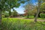 448 Coatesville-Riverhead Highway, Albany - Carousel 9
