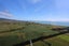 1337 East Coast Road, Pokeno - Carousel 2