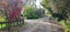 311 Croydon Road, Midhirst, Stratford - Carousel 20