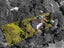 5 Fairmount Road, Titirangi, Auckland - Carousel 2