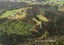 100D Axtens Road, Bombay - Carousel 24