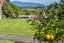 185 Main road, Otaihanga, Paraparaumu - Carousel 26
