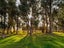 0 Kahutara Rd - Carousel 8