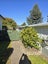 5 Parklane Place, Weston, Oamaru - Carousel 16