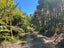 1864 Takaka-Collingwood Highway, Milnthorpe, Golden Bay / Mohua - Carousel 17