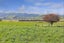 3074A Cambridge Road, Rotoorangi, Cambridge - Carousel 2