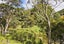 2/41 Taita Road, Waimamaku, Kaikohe - Carousel 15