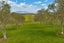 329 Mackenzies Road, Waipara, Amberley - Carousel 24