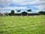 113 Mill Road South, Mill Road, Invercargill - Carousel 32