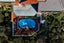 3 Bayview Terrace, Oriental Bay, Wellington, Wellington - Carousel 31